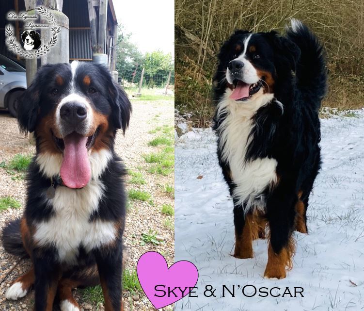 Mariage de Skye et N'Oscar - Décembre 2023